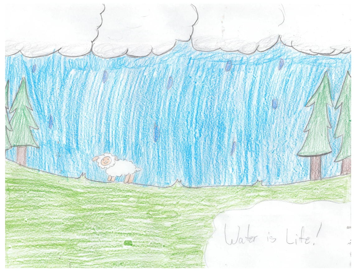 A lamb walks through a forest on against a clear blue sky. Text says "Water Is Life!"